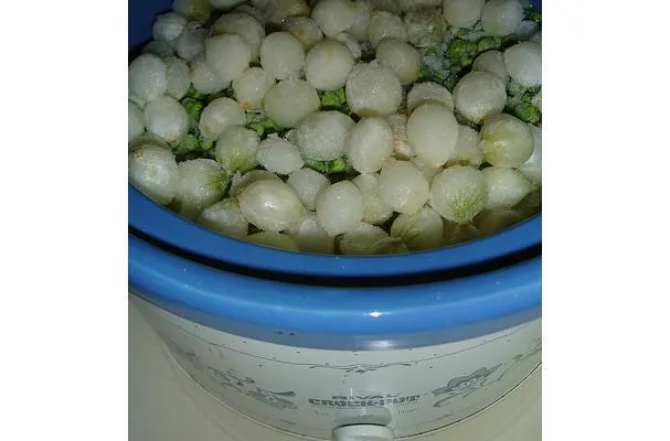 Hellefisk i vinsauce